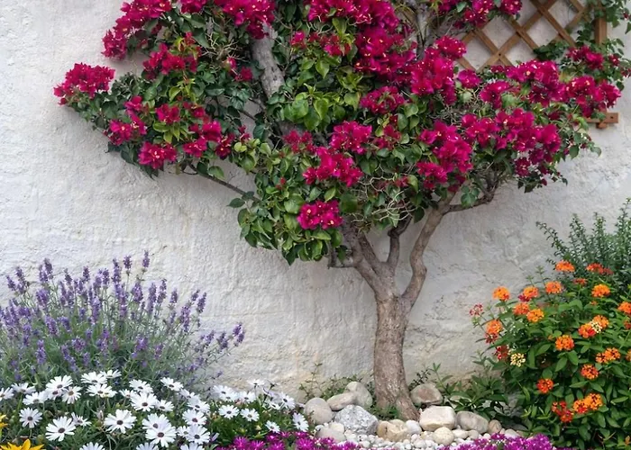 아파트 Casa Persea *